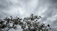 This weather pattern flip could play a big role in Central Florida hurricane season
