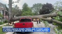 Thousands across without power after Chicago under weather warning on Thursday; storms topple trees, power lines on cars