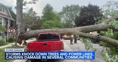 Thousands across without power after Chicago under weather warning on Thursday; storms topple trees, power lines on cars