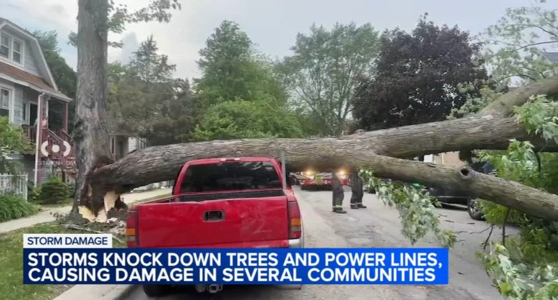 Thousands across without power after Chicago under weather warning on Thursday; storms topple trees, power lines on cars
