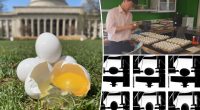 Tired of cracked eggs? Scientists reveal the surprising storage method to avoid that