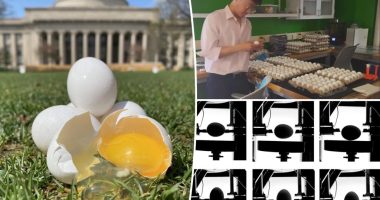 Tired of cracked eggs? Scientists reveal the surprising storage method to avoid that