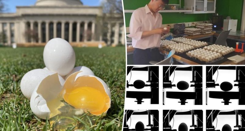 Tired of cracked eggs? Scientists reveal the surprising storage method to avoid that