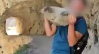 Story from Jam Press (Idiot Throws Rock) Pictured: Video grab - The tourist is seen casting the heavy rock in northern Spain¿s Picos de Europa National Park. VIDEO: Idiot tourist faces ¿168,000 fine for throwing huge rock down gorge in popular park An idiot tourist is facing an eye-watering ¿168,000 fine for throwing a massive rock down a gorge in a popular national park. The young man¿s pal filmed him casting the heavy rock and the video was later uploaded to social media for ¿likes¿. Seconds after the large stone was tossed, a deafening bang was heard as it hit the ground several metres below. The idiotic stunt was filmed at a point along the popular Cares Trail in northern Spain¿s Picos de Europa National Park. Of the park¿s estimated 2m annual visitors, around 300,000 hike the Cares Trail - its most popular walking route. The clip was later shared by a social media account that features videos of young people throwing rocks into voids. Although most clips on the page get a handful of views, this one blew up and quickly caught the police¿s attention. The Spanish Civil Guard have since announced that they are investigating the young man¿s antics, as reported by NeedToKnow. A spokesperson said: ¿This stunt could cost you dearly. ¿Throwing this rock could land this person with a fine ranging from ¿5,001 to ¿200,000. ¿Why? Because disturbing the environment in the Picos de Europa National Park is classed as a very serious offence. ¿Keep that in mind when visiting a national park - these are specially protected areas due to their high environmental value.¿ Javier said: ¿There are livestock farmers who pass through down there. Your little joke could¿ve ended badly.¿ Another viewer said: ¿You have to be a real idiot - you could¿ve gone down with the rock. The force and weight of that boulder could¿ve smashed someone to pieces.¿ A third said: ¿There¿s an alternative path underneath - I just hope no one was down there. And let¿s not forget, people go canyoning or climbing in those areas - when you throw something, there could be someone below.¿ A fourth said: ¿He should be accompanied by a responsible adult - it¿s clear he¿s not ready to be out on his own.¿ And a fifth said: ¿In the mountains, you mustn¿t throw rocks if you can¿t see where they¿ll land - you have no idea who might be below. You could hit a person or an animal.¿ ENDS EDITOR¿S NOTES: Quotations have been translated to English. Video Usage Licence:(EMERGENCY SERVICES) We have obtained this material directly from the emergency services (fire / police / ambulance / rescue workers). Video Restrictions: None.