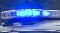 Tourists discover skeletal remains on Edisto Island; Deputies say location may be historically significant