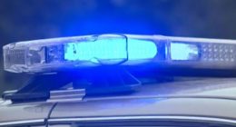 Tourists discover skeletal remains on Edisto Island; Deputies say location may be historically significant