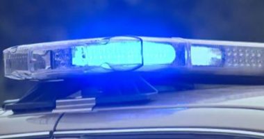 Tourists discover skeletal remains on Edisto Island; Deputies say location may be historically significant