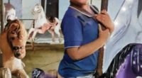 A young boy with autism rides a carousel horse.