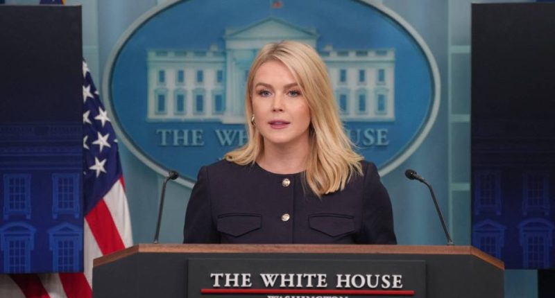 White House Press Secretary Karoline Leavitt at a press briefing.