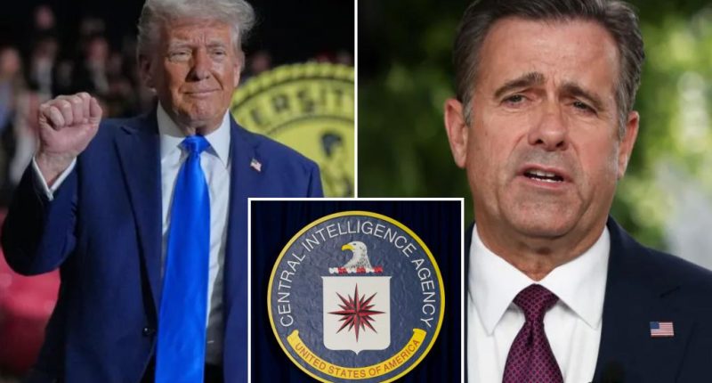 Trump administration to cut staffing at CIA, NSA and other intelligence agencies