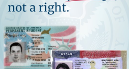 Trump administration warns student visas are a 'privilege' that can be revoked