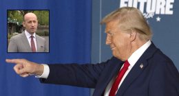 Trump blasted by legal experts over suspending habeas corpus