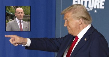Trump blasted by legal experts over suspending habeas corpus