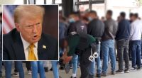 Trump can use IRS data for 'criminal' ICE enforcement: Judge