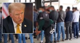 Trump can use IRS data for 'criminal' ICE enforcement: Judge