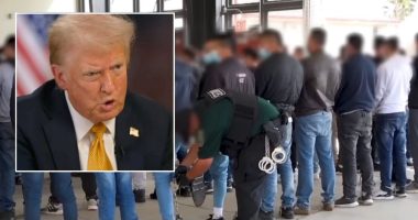 Trump can use IRS data for 'criminal' ICE enforcement: Judge