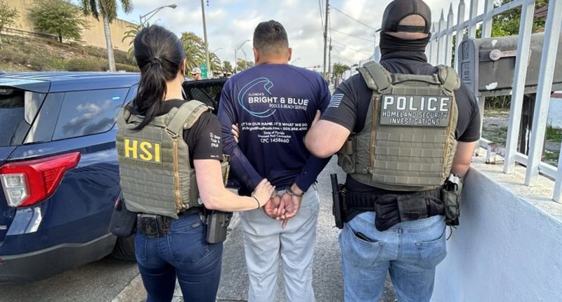 Trump immigration enforcement hampered by detention capacity, Florida sheriff warns