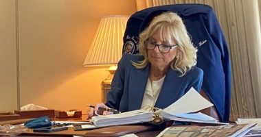 Trump official says Jill Biden could be charged with 'elder abuse'