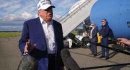 Trump says he'll delay 50 per cent tariff on EU