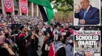Trump vs. Harvard and the 'academic brain drain' myth