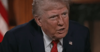 Donald Trump in an interview.