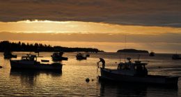 Trump's budget threatens to cut key ocean-monitoring system