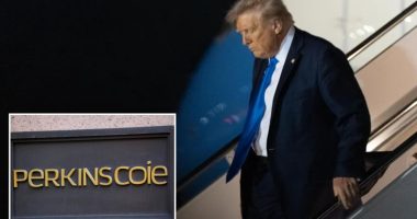 Trump's order stripping elite law firm behind Steele dossier of security clearances is tossed by judge