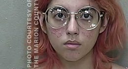 Mugshot of Dianely Torres.