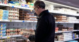 US egg prices fall for the first time in months but remain near record highs