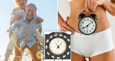 University of Washington School of Medicine body clock tool calculates people's biological age