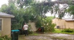 VIDEO: Storms send tree onto Palm Bay home; hail reported across Central Florida