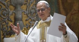 Video shows Pope Leo at White Sox World Series game