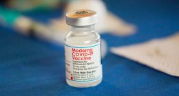 WHO members adopt a 'pandemic agreement' born out of the disjointed global COVID response