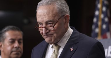 Watch: Angry Chuck Todd Chews Schumer Out Over Biden Cognitive Cover-Up: ‘You’re Part of the Problem!’