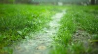 Weather Alert Day: Severe Storms Possible This Afternoon