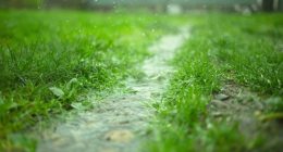 Weather Alert Day: Severe Storms Possible This Afternoon