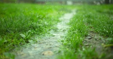 Weather Alert Day: Severe Storms Possible This Afternoon