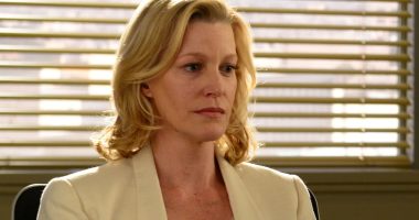 What Happened To Breaking Bad's Skyler White Actress Anna Gunn?