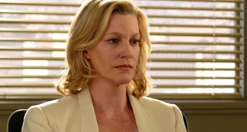 What Happened To Breaking Bad's Skyler White Actress Anna Gunn?