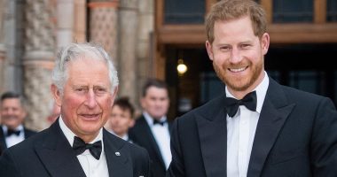 What Harry must do if he wants reconciliation with father, revealed