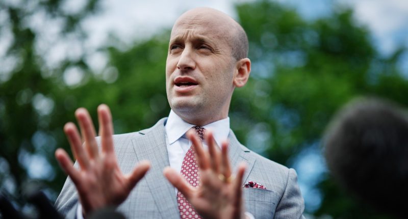White House is actively looking at suspending due process for migrants, top adviser says