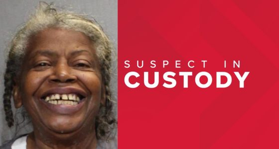 68-Year-Old Woman Arrested in Deadly Stabbing at Jacksonville Senior ...