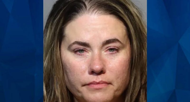Woman Aboard Plane Attacks Child Who Called Her ‘Fat’ and ‘Miss Piggy’ for Not Fitting ‘In Her Seat’: Police