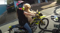 ï»¿A woman has been fined for riding a motorbike with a dog strapped to her chest in a Temu harï»¿ness on Queensland's Sunshine Coast.