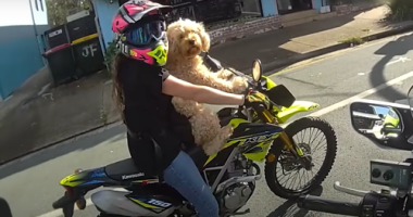 ï»¿A woman has been fined for riding a motorbike with a dog strapped to her chest in a Temu harï»¿ness on Queensland's Sunshine Coast.