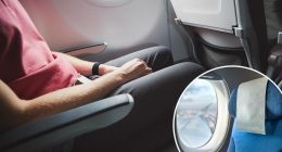 Woman roasted after not giving up seat for child on plane