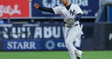 Yankees to play Jorbit Vivas 'a lot' with Jazz Chisholm Jr.oput