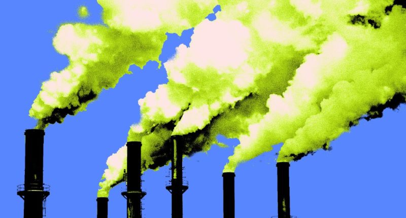 Young people sue Donald Trump over climate change
