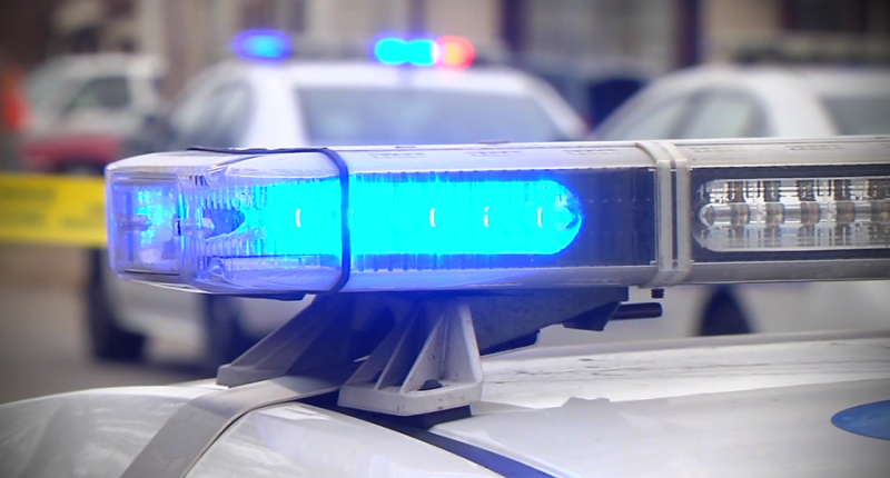 7 dead after pickup, tour van collide near Yellowstone: Police