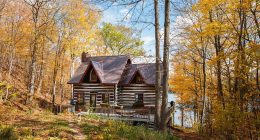A longevity expert says he lowered his biological age by moving his entire family to the forest